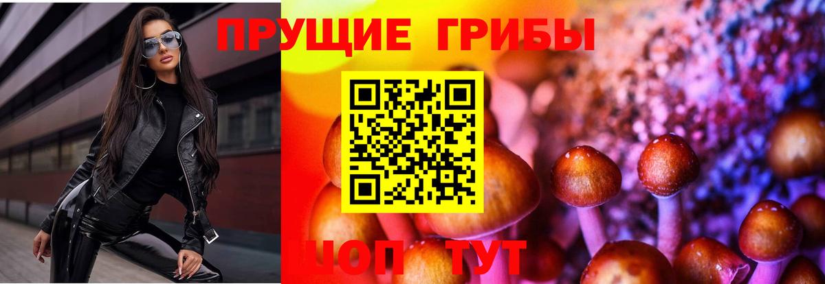 Псилоцибиновые грибы мицелий  Вход с VPN  Гагарин 